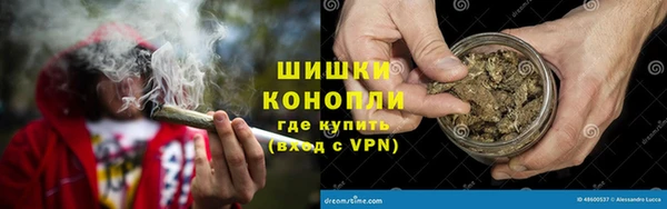 ГАЛЛЮЦИНОГЕННЫЕ ГРИБЫ Баксан