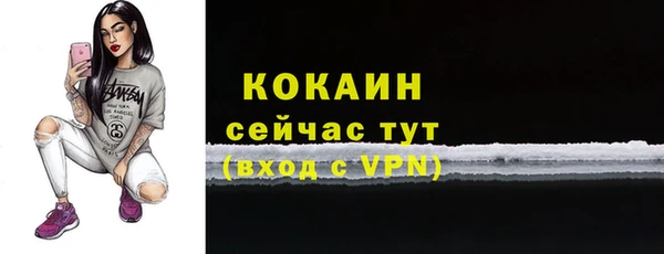 индика Новозыбков