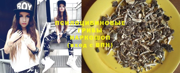 ГАЛЛЮЦИНОГЕННЫЕ ГРИБЫ Баксан