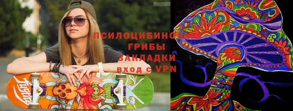 ГАЛЛЮЦИНОГЕННЫЕ ГРИБЫ Баксан