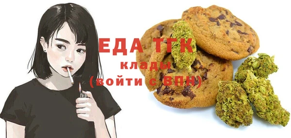 индика Новозыбков